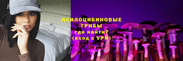 индика Армянск