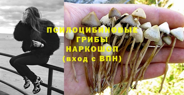 индика Армянск
