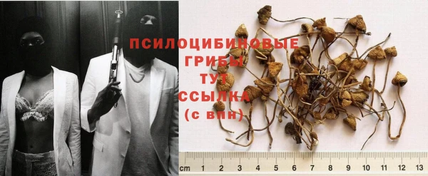 кокс Арсеньев
